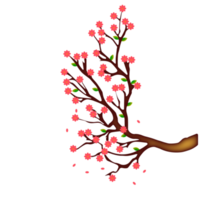 fond de fleur de printemps avec prune ou fleur de cerisier png