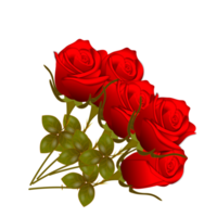 red  rose flowers realistic set with different colors and shapes isolated png