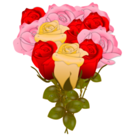 conjunto realista de flores rosas vermelhas com diferentes cores e formas isoladas png