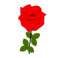 ensemble réaliste de fleurs roses rouges avec différentes couleurs et formes isolées png