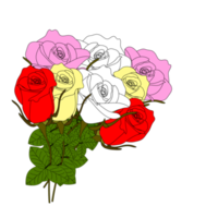 red  rose flowers realistic set with different colors and shapes isolated png