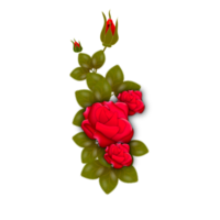 red  rose flowers realistic set with different colors and shapes isolated png