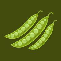 Fresh green peas vector illustration for graphic design and decorative element