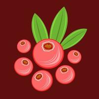 Cranberry vector illustration for graphic design and decorative element