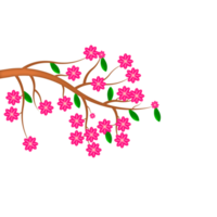 fond de fleur de printemps avec prune ou fleur de cerisier png