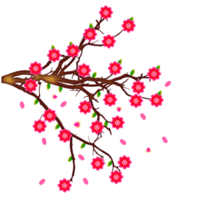 fondo de flor de primavera con ciruela o flor de cerezo png