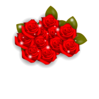 rosso rosa fiori realistico impostato con diverso colori e forme isolato png