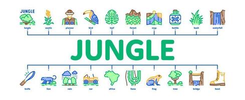 Jungle Tropical Forest Minimal Infographic Banner Vector Flat