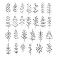 conjunto de plantas de ilustración dibujada a mano. vector