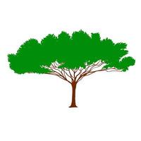 Green tree icon vector