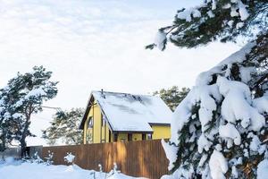 A yellow cozy house in the snow in winter in the village is surrounded by pine trees. Snow-covered roof, heating and ventilation pipes, trapezoid windows photo