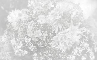 Floral background in light gray tone photo