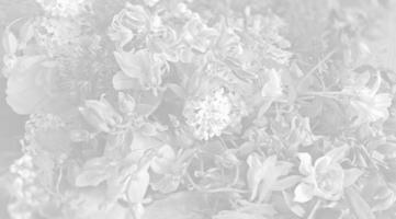 Floral background in light gray tone photo