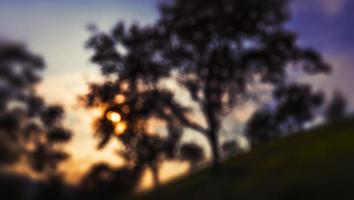 Blurred background with the rays of the evening sun photo