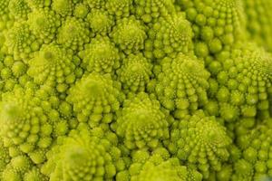 Romanesco the italian green cauliflower photo