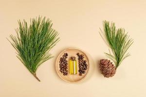 Herbal medicine layout with essential cedar oil in small glass bottle, cedar branches, cone, nuts on beige.