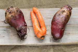 Three non-standard ugly vegetables are lying on grey wooden planks on burlap. photo