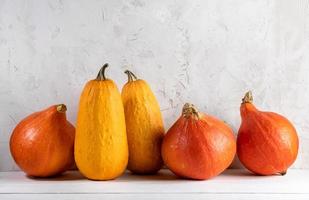 composición de otoño de calabazas naranjas y calabacines sobre una mesa de madera blanca sobre un fondo de pared enyesada. foto