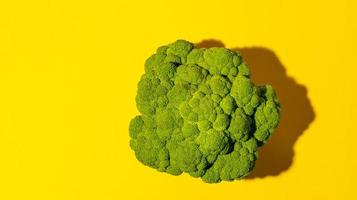 View above beautiful ripe juicy green head of broccoli cabbage on bright yellow background with copy space. photo