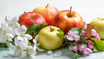 Ripe apples and pink and white Apple tree flowers close up on light wooden table. Banner. photo