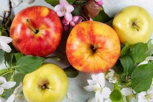 Ripe whole apples and pink and white Apple tree flowers close up. Top view. photo