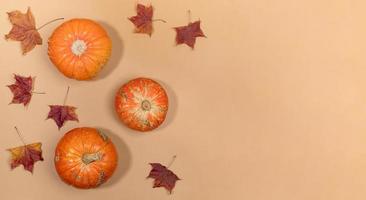 Autumn trendy flat lay banner with view above to dried maple leaves and orange pumpkins on pastel beige background. photo