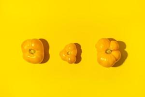 Three yellow different sizes and forms farm tomatoes laid out in row in center of bright yellow background. photo