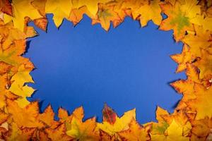 Frame of colorful maple leaves on blue backdrop. Empty blank for greeting card or invitation. photo