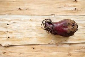 One ugly beet are lying on background of inverted tree bark. photo