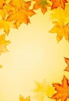 Frame of beautiful fall maple leaves on yellow background. Vertical orientation. photo