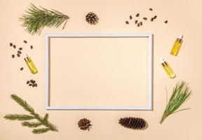 White frame and small glass bottles with coniferous essential oils of cedar, pine and spruce, branch, nuts around it.