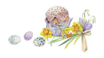 Watercolor hand drawn Easter celebration clipart. Composition of kulich bread, spring daffodil flowers, leaves. Isolated on white background. For invitations, gifts, greeting cards, print, textile vector