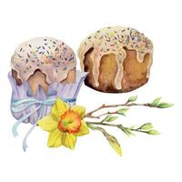 Watercolor hand drawn Easter celebration clipart. Composition of kulich bread, spring daffodil flowers, leaves. Isolated on white background. For invitations, gifts, greeting cards, print, textile vector