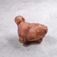 One ugly strange shaped potato on grey concrete background. photo