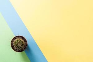 Abstract trendy yellow background with small cactus on border of blue diagonal stripe and green background. photo