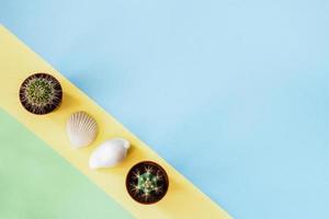 Pastel blue-green background with small cactuses and seashells on yellow diagonal stripe. photo