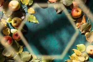 Apples with autumn leaves on emerald background lit by natural light from window with frame of hexagon shape above. photo