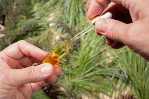 manos de mujer sosteniendo una pequeña botella de vidrio con aceite esencial aromático de spa de coníferas sobre fondo de ramas verdes borrosas. foto