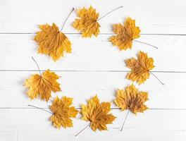 Autumn mock up. Round frame of fall yellow maple leaves on white wooden background. Copy space. photo