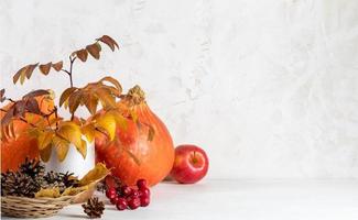 Fall image with orange pumpkins, color leaves, red apples, pine cones on white. Copy space. photo