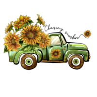 Sunflowers Sublimation png