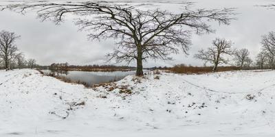 vista panorámica completa de invierno esférico hdri 360 entre robles con ramas torpes en bosque con nieve en proyección equirectangular, contenido vr ar listo foto