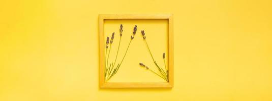 Lavender flowers in golden frame on colored background top view. Banner. Geometric and nature. photo