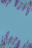 Frame made from lavender flowers on colored background top view. Copy space. Vertical format photo