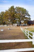 White and brown horses stand near the stay. White wooden fence. photo