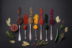 Several types of spices in metal spoons paprika, tomatoes, curry, beets, cumin, turmeric, fennel, spirulina photo