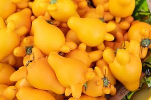 Eggplant cartoon. Yellow eggplants are shaped like a cartoon character with green leaves and spikes. photo