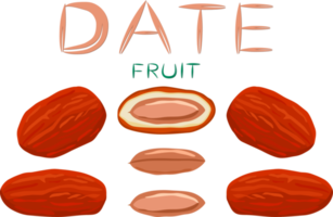 Sweet juicy tasty natural eco product date fruit png