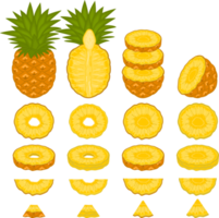 Sweet juicy tasty natural eco product pineapple png