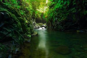 indonesian landscape in the morning with a waterfall inside a beautiful tropical forest photo